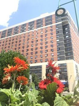 Watt Tapestry Collection By Hilton Rahway