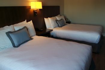 Watt Tapestry Collection By Hilton